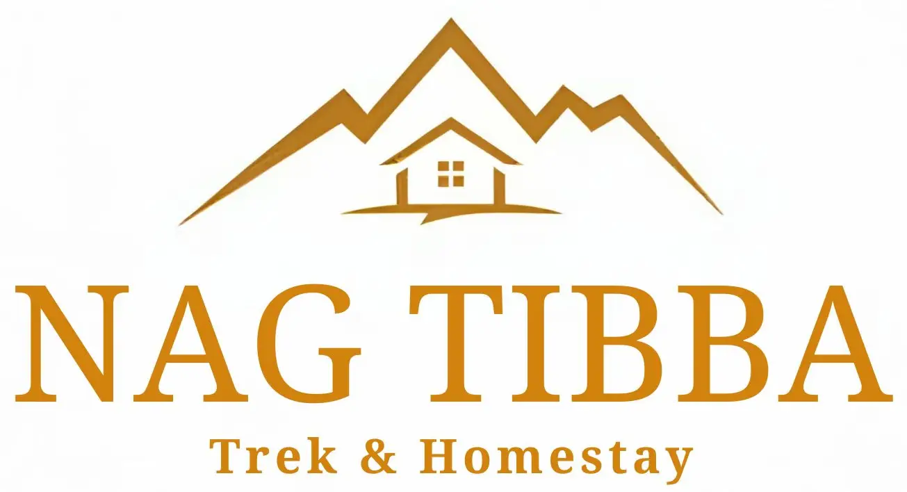 Nag Tibba Trek and Homestay